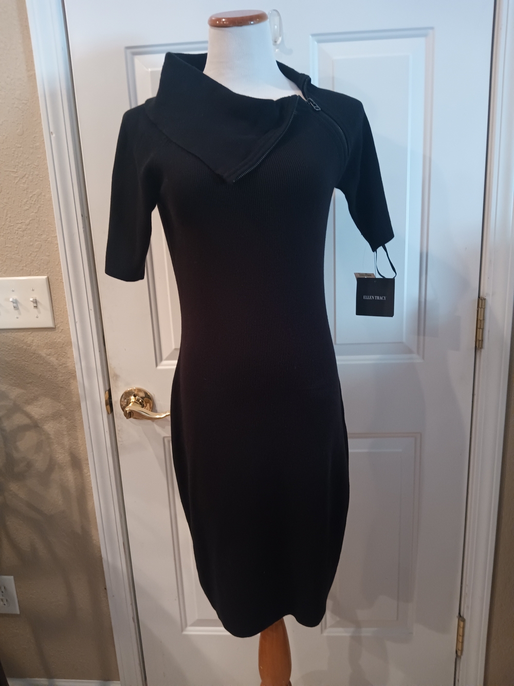 See Me Now Ellen Tracy Boldly Beautiful Dress NWT